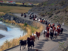 Chile-Patagonia / Torres del Paine-Torres del Paine - Estancias Horse Drive